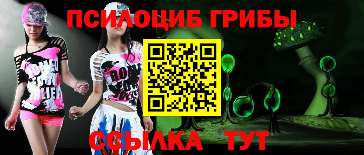 Галлюциногенные грибы мицелий Петропавловск-Камчатский