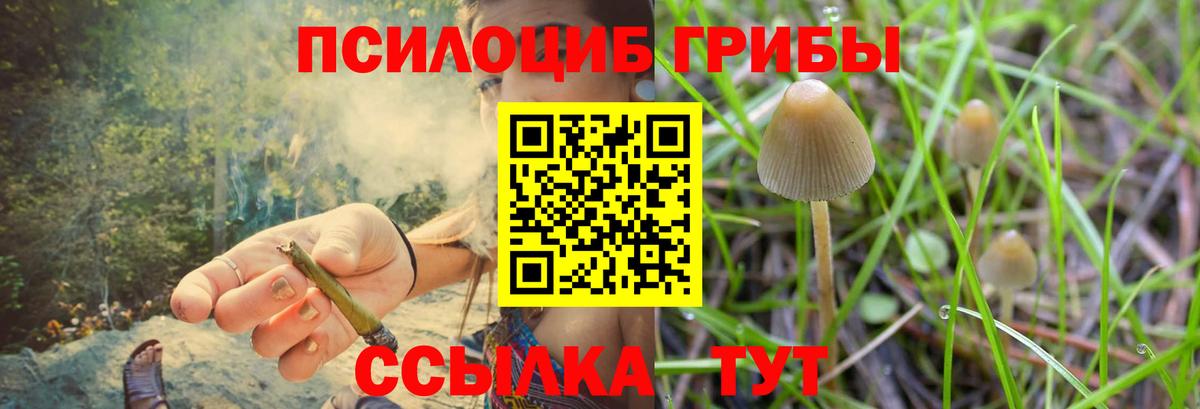 Псилоцибиновые грибы Magic Shrooms  Вход с VPN  Петропавловск-Камчатский  Псилоцибиновые грибы GOLDEN TEACHER 
